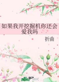 如果我开挖掘机你还会爱我吗