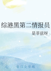 综港黑第二情报员